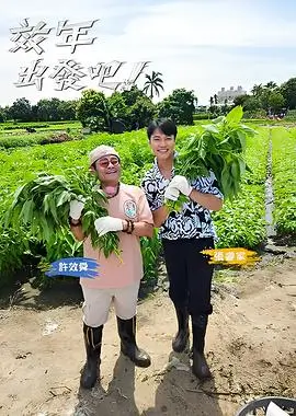 影视资讯 综艺排播观察 配图